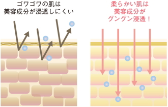 リプロスキンの浸透力