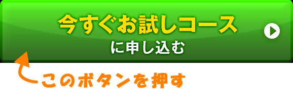 リプロスキンの購入手順