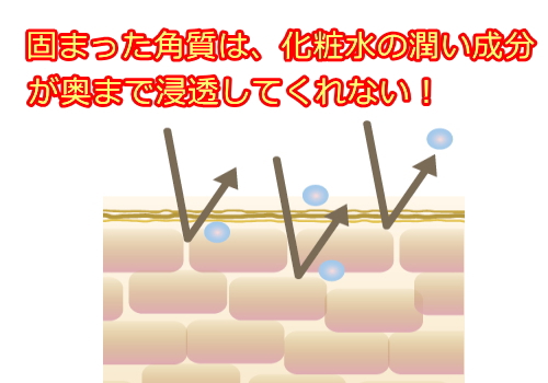 リプロスキン化粧水の重ね塗り理由