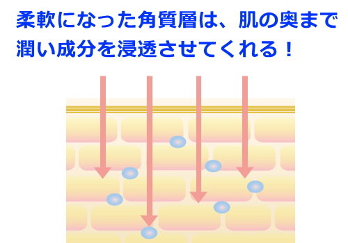 リプロスキン重ね塗りの結果