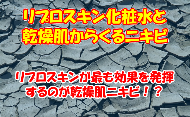 乾燥肌に対する効果