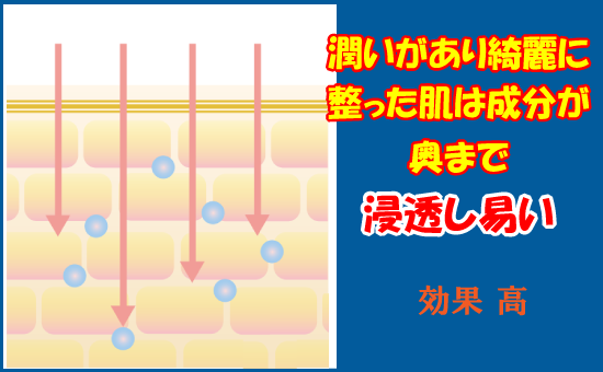 潤いのある肌の状態